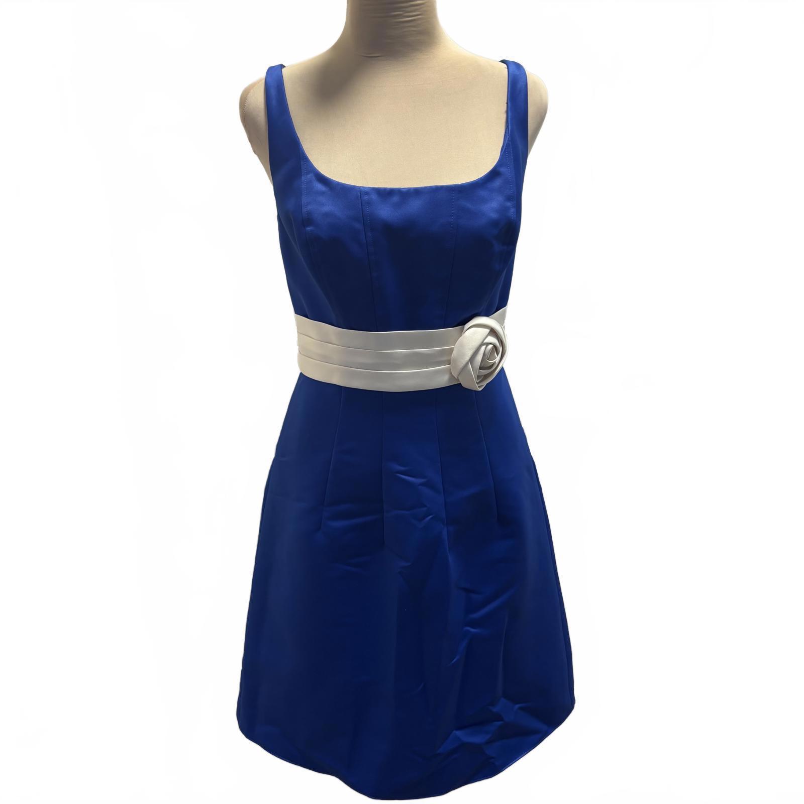 Nwt Eden Blue & White Satin Wide Neck Dress Pleated 8